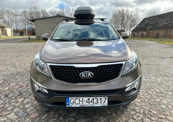 Kia Sportage cena 56580 przebieg: 104810, rok produkcji 2015 z Chojnice małe 11